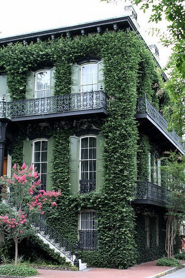 The Problem With Ivy House Exterior That No One Will Tell You
