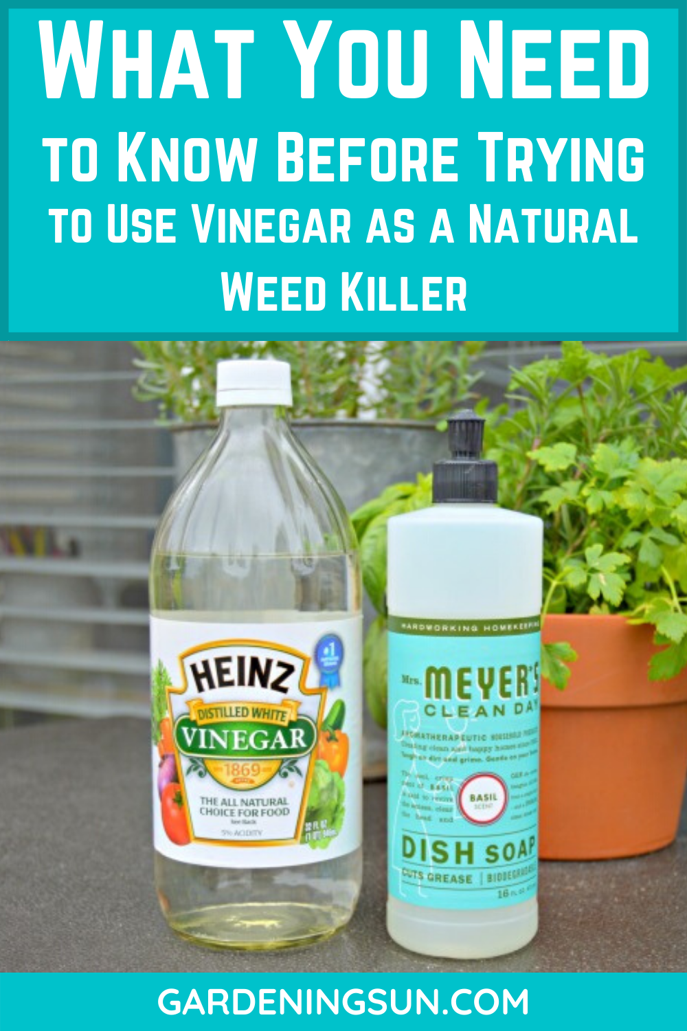 What You Need to Know Before Trying to Use Vinegar as a Natural Weed