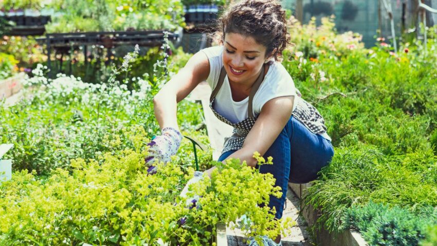 7 Best Organic Gardening Tips for Growers On A Budget - Gardening Sun