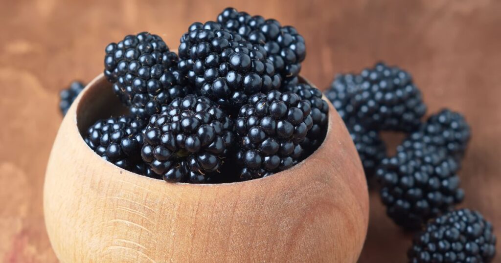 Growing Blackberries in Pots - Gardening Sun